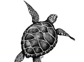 A black and white digital drawing of a sea turtle. 