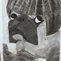 Charcoal drawing of a Pug with a watermelon.