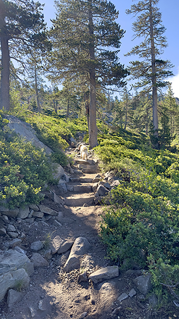 green path on mountainside.