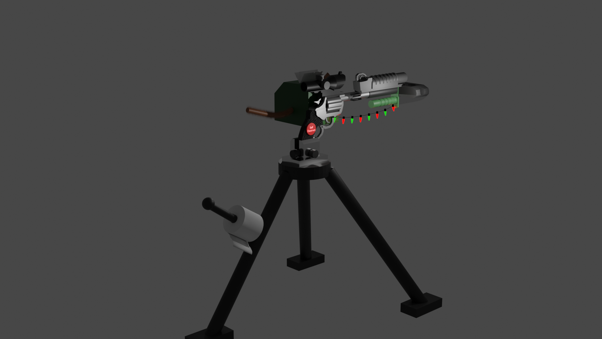 a picture of the model