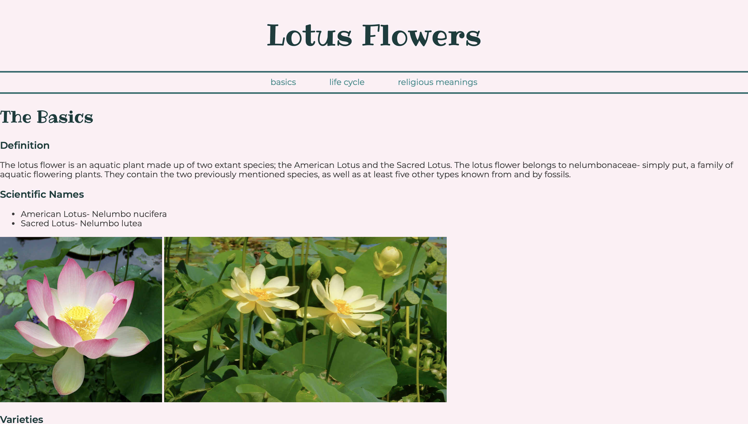 website about lotus flowers