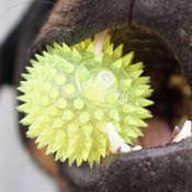 Green ball with little rubber spikes