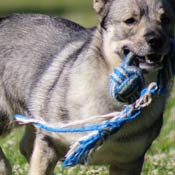 Large blue and white rope
