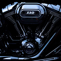 110 cubic inch V-Twin Harley Davidson motor.