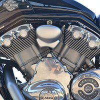 1250 cubic centimeter V-Twin Harley Davidson motor.
