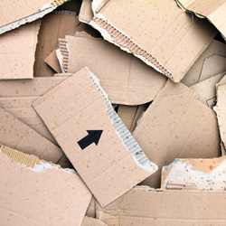 Cardboard image