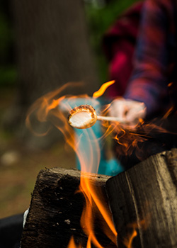 marshmellow roasting in fire