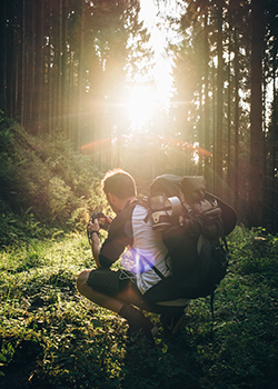 Photographer in sun between forest trees