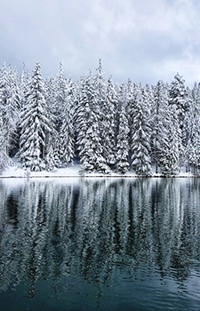 Snowy trees with reflection on blue lake