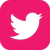 Pink Twitter social media icon.