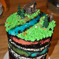 A multi-layer cake with swirling colors in each layer, while the top looks like mountainous field with a river running through it. Click here for a larger picture.