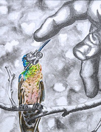 hand about to touch the beak of a hummingbird in a gas mask