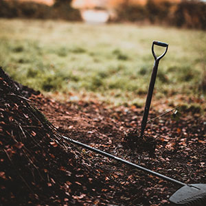 Image of a compost pile.