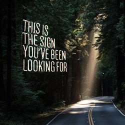 Photoshop edit of a road in the middle of a forest, with neon signs floating off to the side reading :This is the sign you've been looking for"