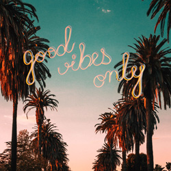 Photoshop edit of a street in hollywood with palm trees coming down both sides with neon signs floating in the middle reading "hgood vibes only"