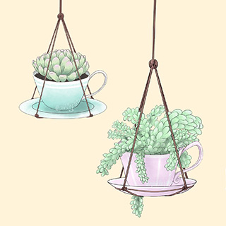 Digital painting of succulents planted in two teacups