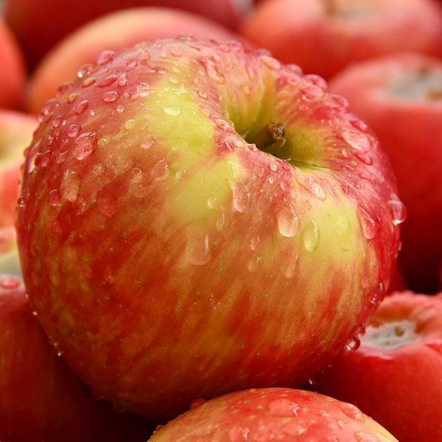 A picture of an apple with water on it.