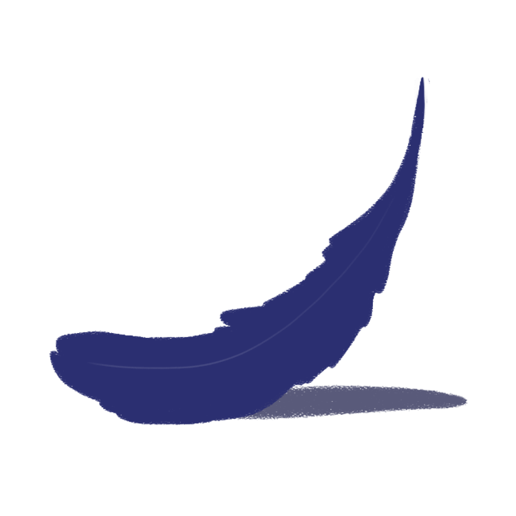 image of a feather
