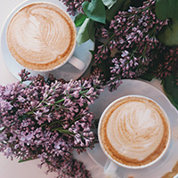 two coffee cups surrounded by lavender