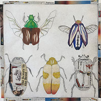 5 colorful bugs lined up with collaged border