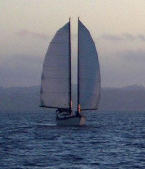 image of the Toucan approaching wing and wing