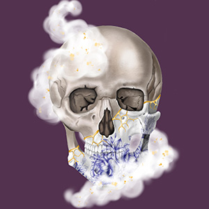 Digital drawing of a skull