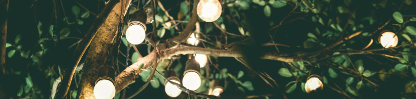 A string of lights in the trees creating  ambiance.