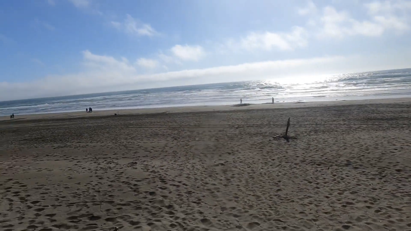Sandy beach with a bright sunny view of ocean