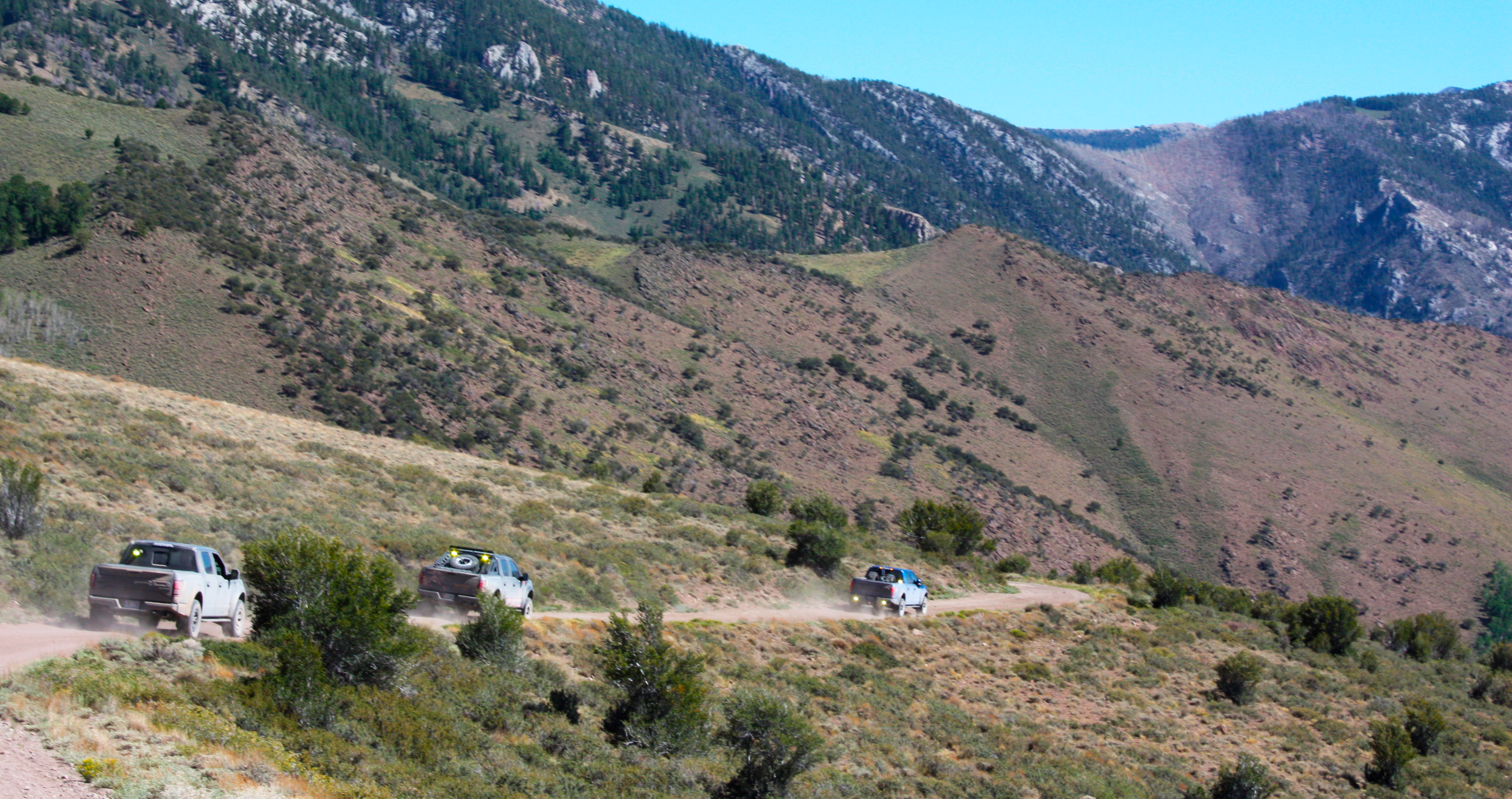 Image of multiple Ford Raptor trucks driving on drit trail.