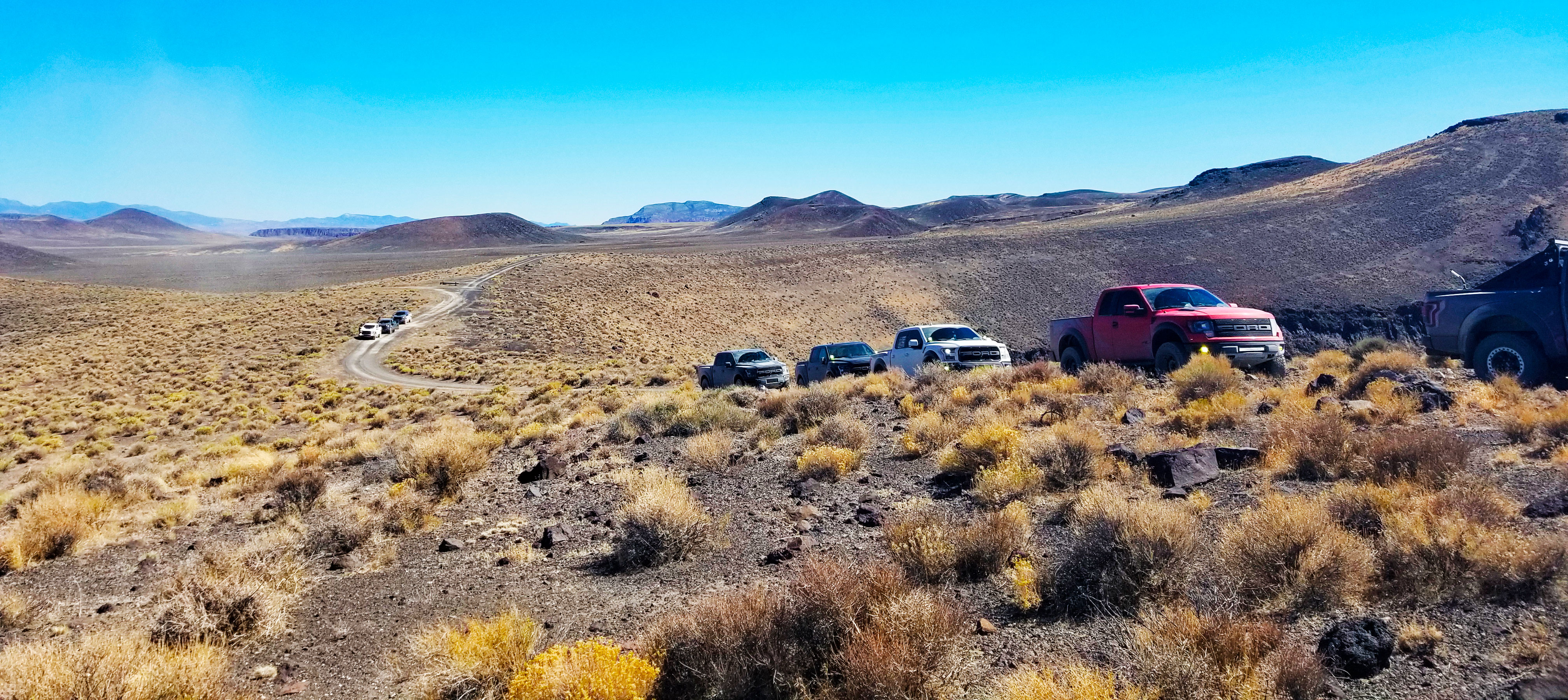 Image of multiple Ford Raptor trucks in the desert.