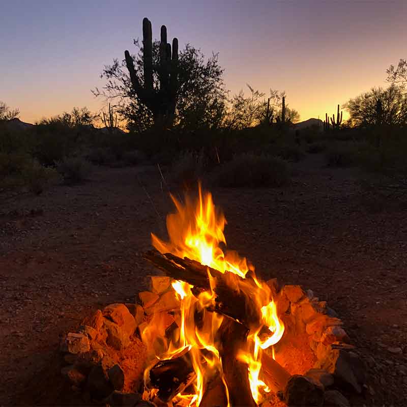 A crackling fire burns with a cactus and a desert sunset in the background