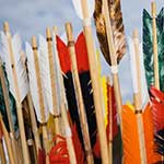 Many feathered arrows.