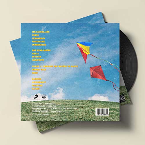Back Part of CMIYGL Album Vinyl Redesign