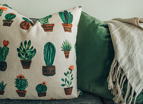 Pillow with succulent hand-drawn print laying on a green sofa.