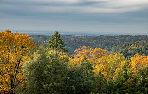 A view from the porch of the valley below in the fall with yellow, orange and green leaves and dark, pretty clouds