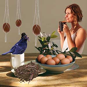 woman having coffee eggs and worms with a burd in a top hat