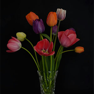 Flower bouquet with one type of flower