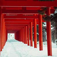 A path of red Torii gates in the snow