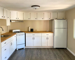 Home Improvement: Kitchen Remodeling Showcase