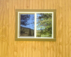 Door and Window Installation Services