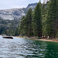 Boat sitting in Lake Tahoe, next to a tree filled shoreline