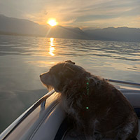 Dog on a boat on Lake Tahoe at sunset