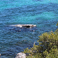 Rock peeping out of the emerald and blue water of Lake Tahoe