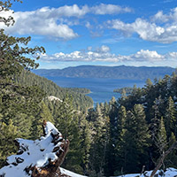 Snowy foreground, pine trees, with Lake Tahoe in the distance