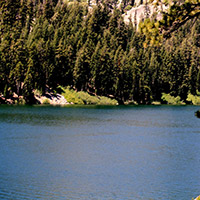 View of Echo Lake with the tree line shore in the background 