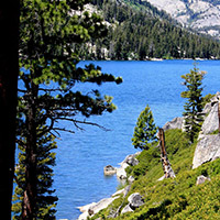 Rocky and brush filled shoreline of Echo Lake