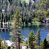 View of houses and trees that line the shore of Echo Lake