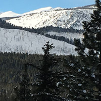  Snow covered trees with snow covered mountains in the distance