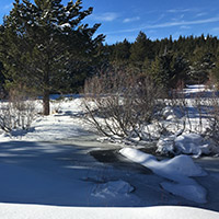  Frozen river with view of snow-covered riverbank
