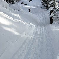 Person snowshoeing on a trail